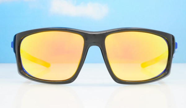 Ironcrest Polarised Sunglasses NZ | Men's Mirror Wrap Frames UV400 ...
