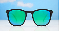 Polarised Sunglasses-02791