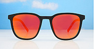 Polarised Sunglasses-02791
