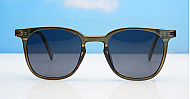 Polarised Sunglasses-PZ10038-ZT
