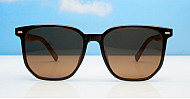 Polarised Sunglasses-PZ10057-BRW