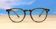 Round computer glasses with silver accents, inner temple wire core and steel hinges