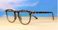 Round computer glasses with silver accents, inner temple wire core and steel hinges