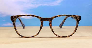  Blue Light Glasses BL3002