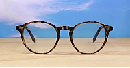 Large round anti blue light glasses with silver stud detail and flexible steel hinges