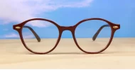 Rex mens sunglasses NZ