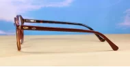 Rex mens sunglasses NZ