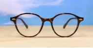 Rex mens sunglasses NZ