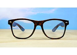  Blue Light Glasses 2004-Tortoise