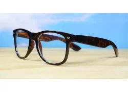  Blue Light Glasses 2004-Tortoise