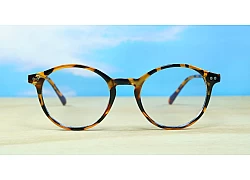  Blue Light Glasses BL8831