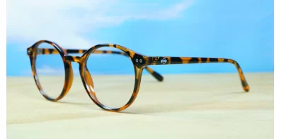  Blue Light Glasses BL8831