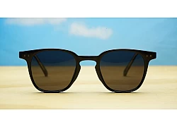 Arlo Polarised SD