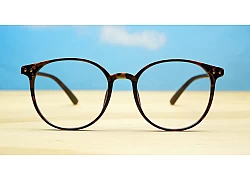 Blue Light BL1308-Tortoise