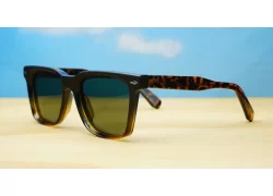 Amiri Polarised Tortoise