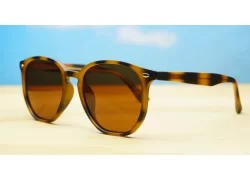 Timoti Polarised Tortoise