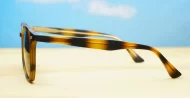 Timoti Tortoise unisex polarised sunglasses classic tortoise frames dark brown lenses