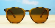 Timoti Tortoise unisex polarised sunglasses classic tortoise frames dark brown lenses