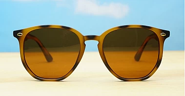 Timoti Polarised Tortoise