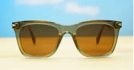 The Hawk unisex vintage wayfarer UV400 sunglasses in light brown translucent with gold accents and dark brown Category 3 lenses
