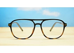 Blue Light BL6253 Tortoise