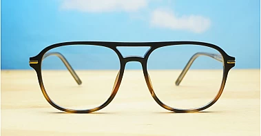 Blue Light BL6253 Tortoise