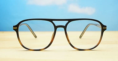 Blue Light BL6253 Tortoise