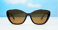 iPOP Maisie polarised soft cat eye sunglasses for women with gold inlay detail