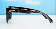 iPOP Juno large polarised cat eye sunglasses for women with gold inlay detail