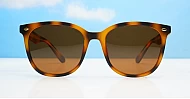 Kiri Tortoise large round polarised sunglasses tortoise frames dark brown lenses