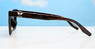 iPOP Skystep polarised cat eye sunnies in with silver temple detail
