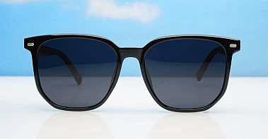 Ari Polarised-Black