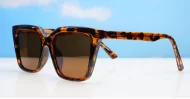 Oreo Polarised Tortoise NZ-eyewear- Polarised Sunglasses