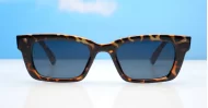 The Amos small retro rectangular UV400 sunglasses for women with super dark lenses and gold arm detailing