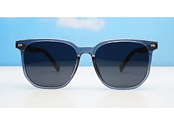 Ari Polarised-Grey