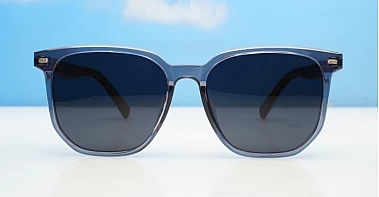 Ari Polarised-Grey