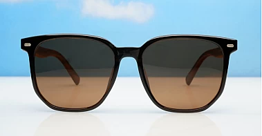 Ari Polarised-Brown