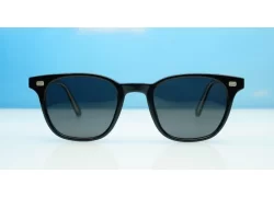 Wilbur Polarised Black