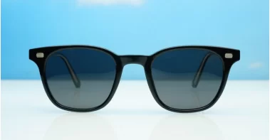 Wilbur Polarised Black