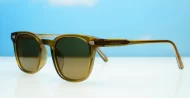 Wilbur Brown small round polarised sunglasses light brown frames dark brown lenses