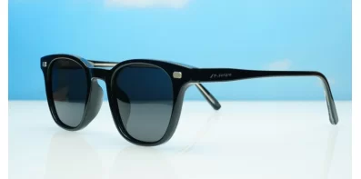 Wilbur Polarised Black