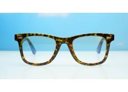 Blue Block Glasses BL2021