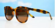 Kiri Tortoise large round polarised sunglasses tortoise frames dark brown lenses