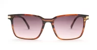 Coast women's squared sunglasses with gold temple detailing