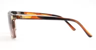 Coast women's squared sunglasses with gold temple detailing
