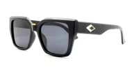 Classic women’s polarised sunglasses with gold temple accents