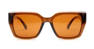 Classic women’s polarised sunglasses with gold temple accents