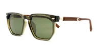 Classic unisex polarised sunglasses with gold accents and faux wood temples
