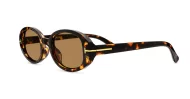 Vintage oval sunglasses with tortoise frame and gold detailing