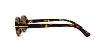 Vintage oval sunglasses with tortoise frame and gold detailing